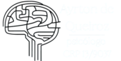 Ayrton de Queiroz